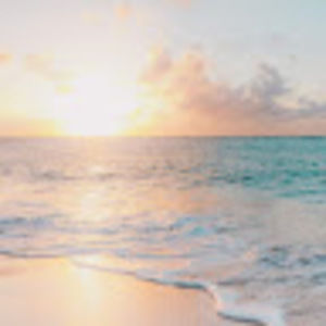 Meet your Posher, Ella